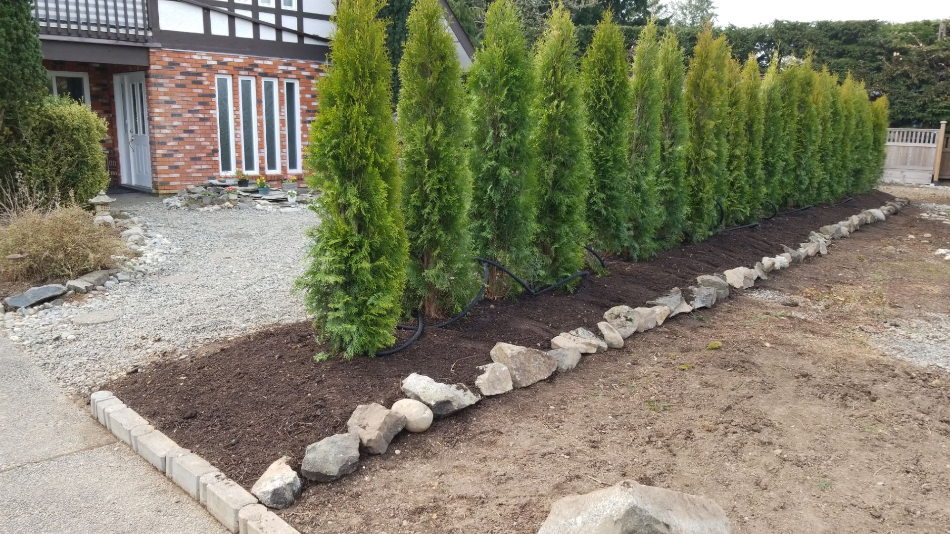 Emerald Cedar Hedge and Irrigation Installation – Enhancing a West Coast Front Yard by Habanero Garden and Exterior Care