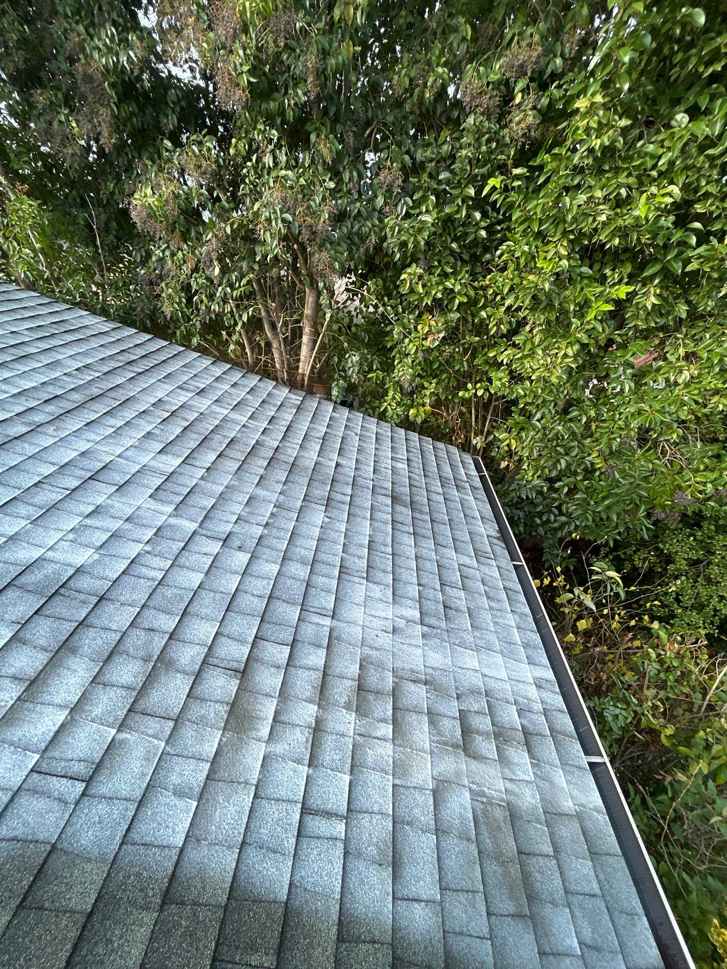Roof Rejuvenation using Roof Maxx Treatment by Roof Maxx of Folsom