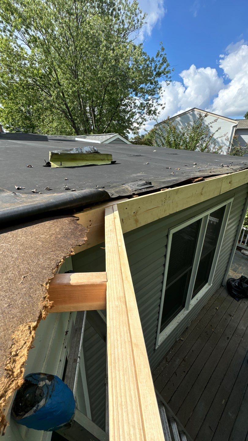 Alexandria: Residential Flat Roof Replacement with MuleHide TPO by RM Banning, Inc.