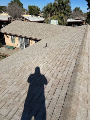 Desert Tan Shingles