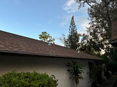 Shingle Reroof Replacement Port Orange FL
