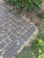 Paver Re-Leveling in Madison, NJ — Gallo Bros job photo