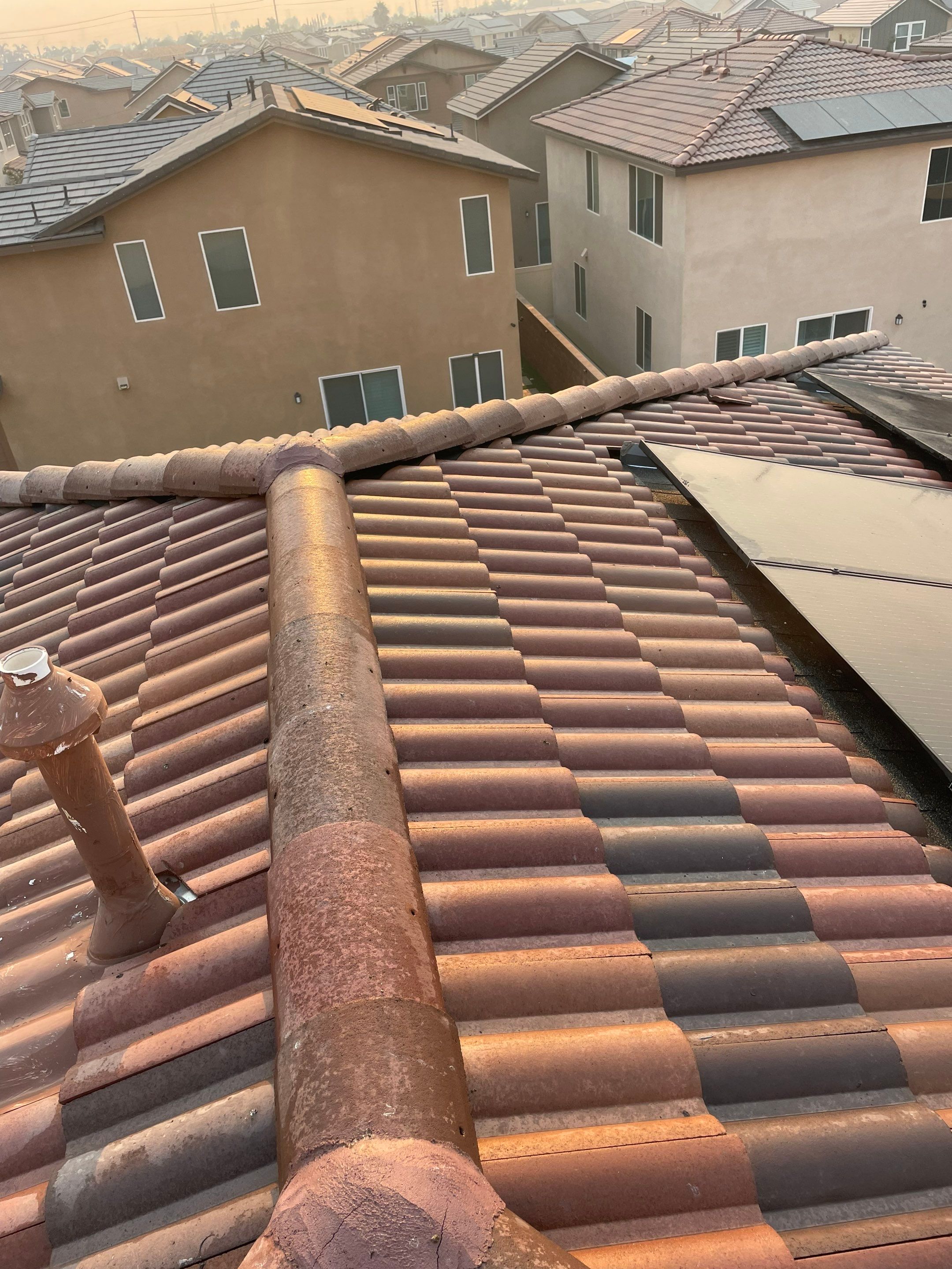 Solar Panel Bird Proofing in Ontario Ca by Palm Coast Solar Cleaning