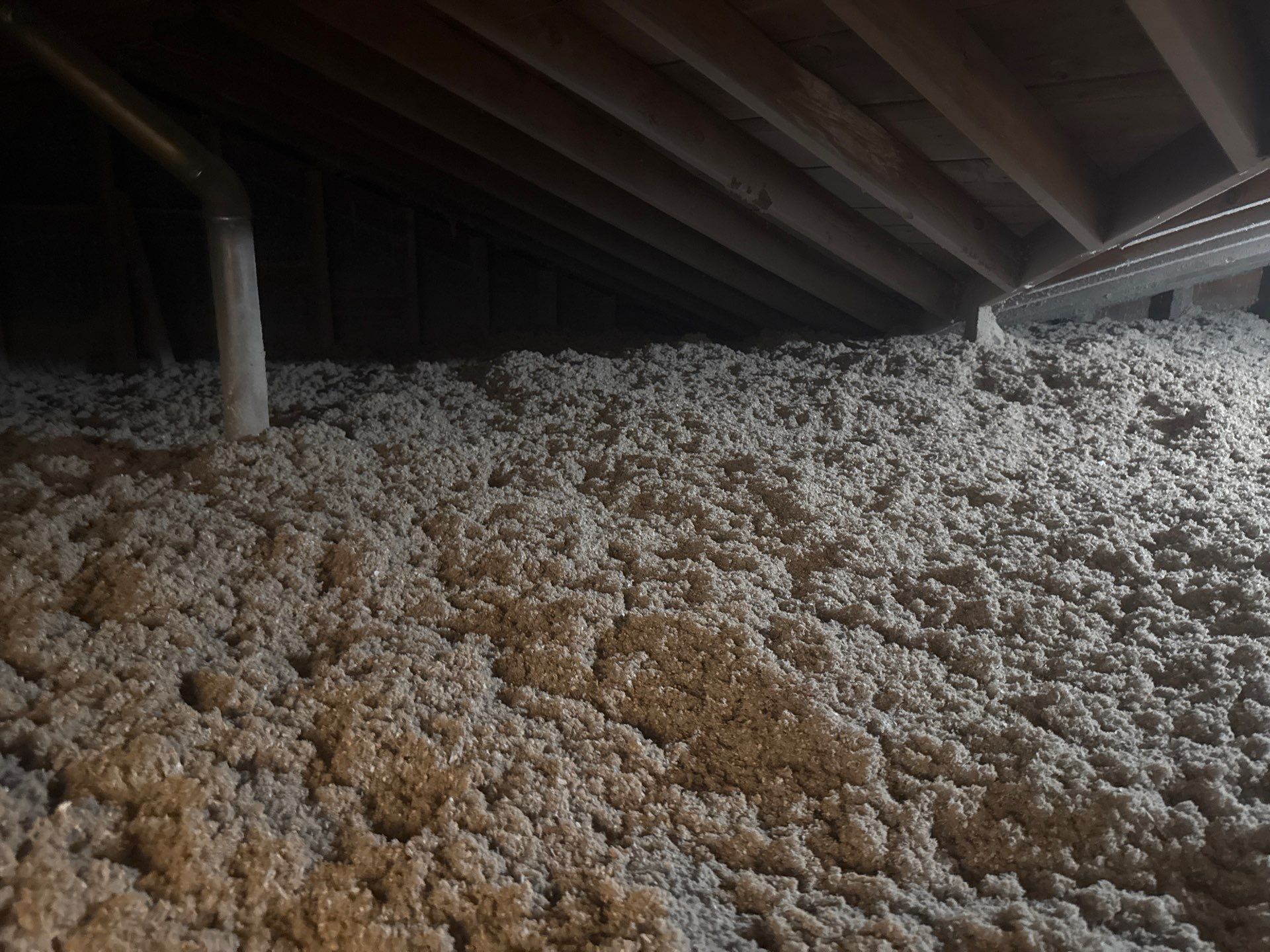 Blown-In Attic Insulation and Rodent Remediation in Canonsburg by Home Environment Solutions