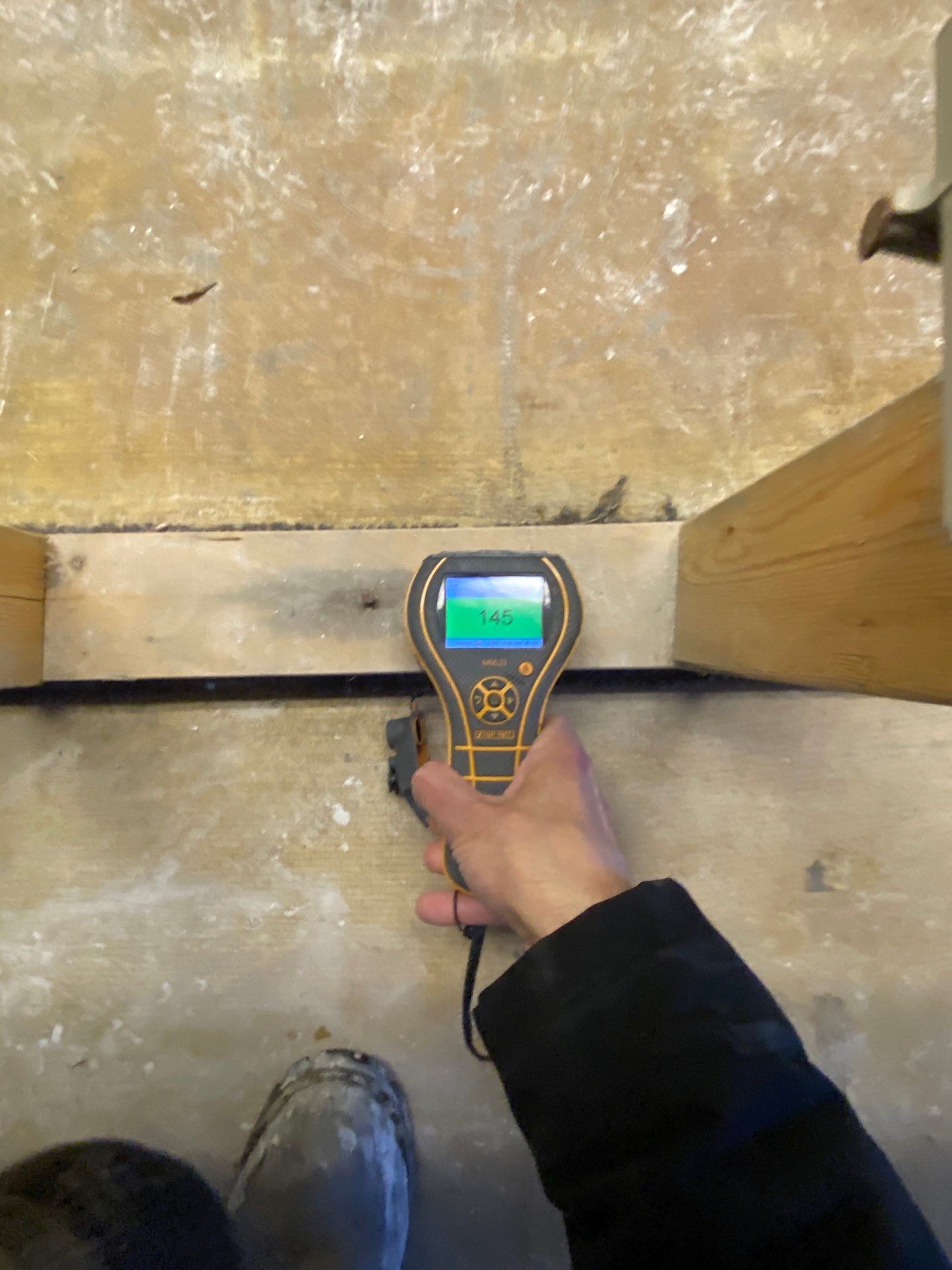 Project in Commerce Twp by EzDry Water Mitigation & Property Restoration