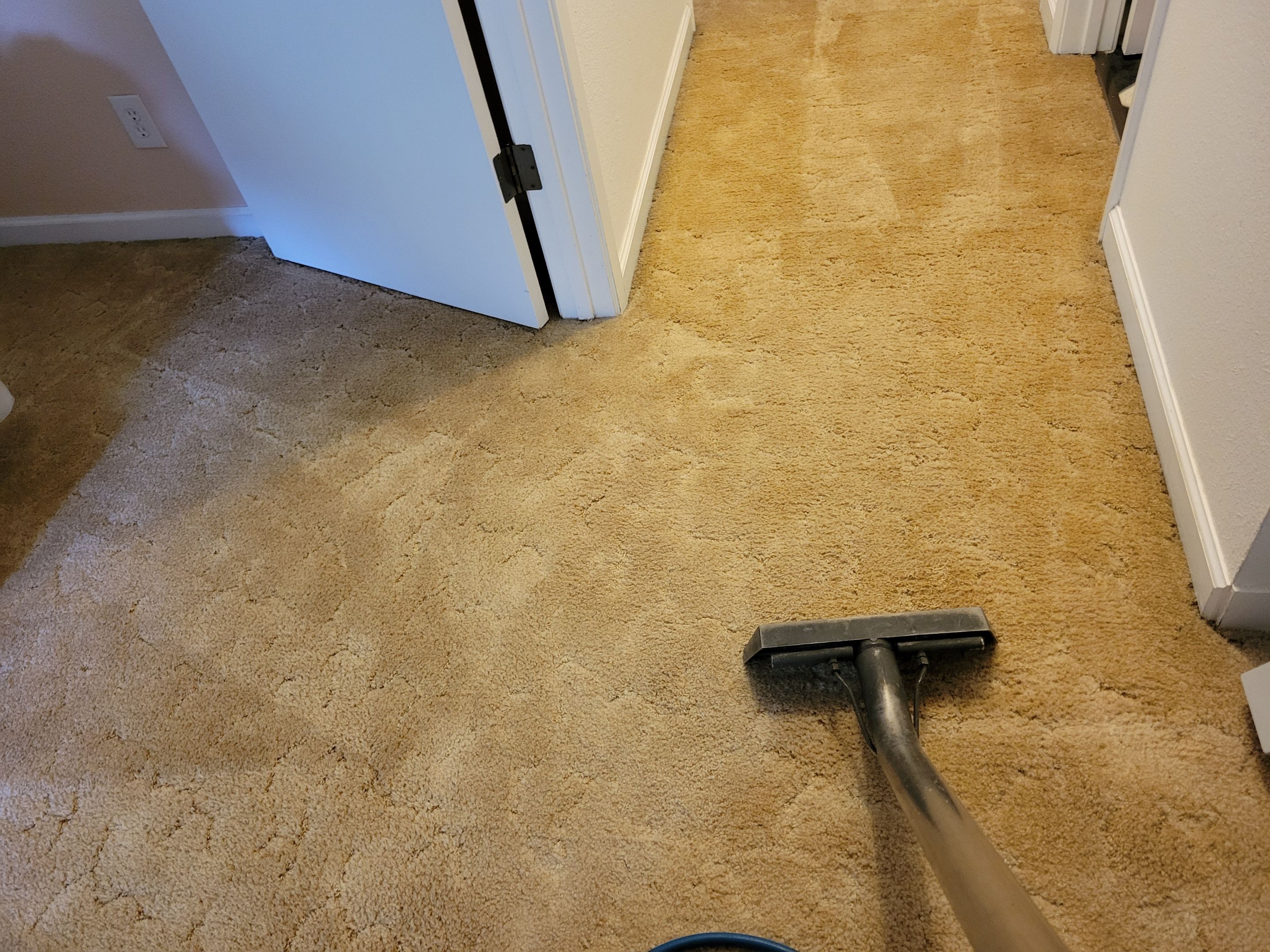 Carpet Cleaning and Chair Cleaning by Ardent Carpet Restore LLC