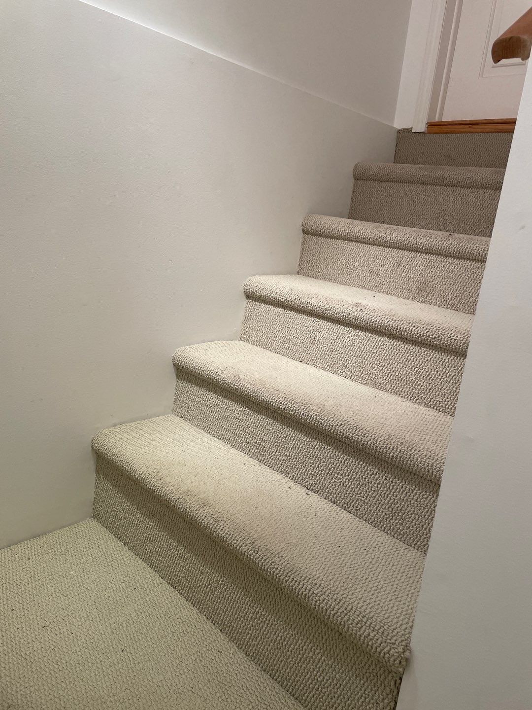 First response basement flood by Eco-Nature Construction Inc.