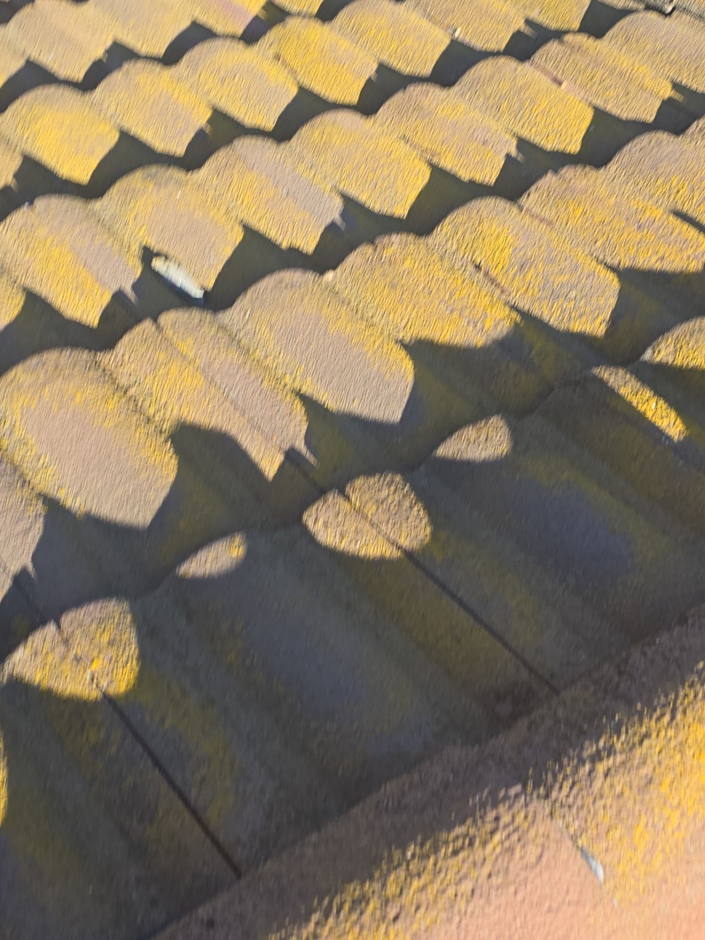 Tile Roof repair by Grandmark Service Company