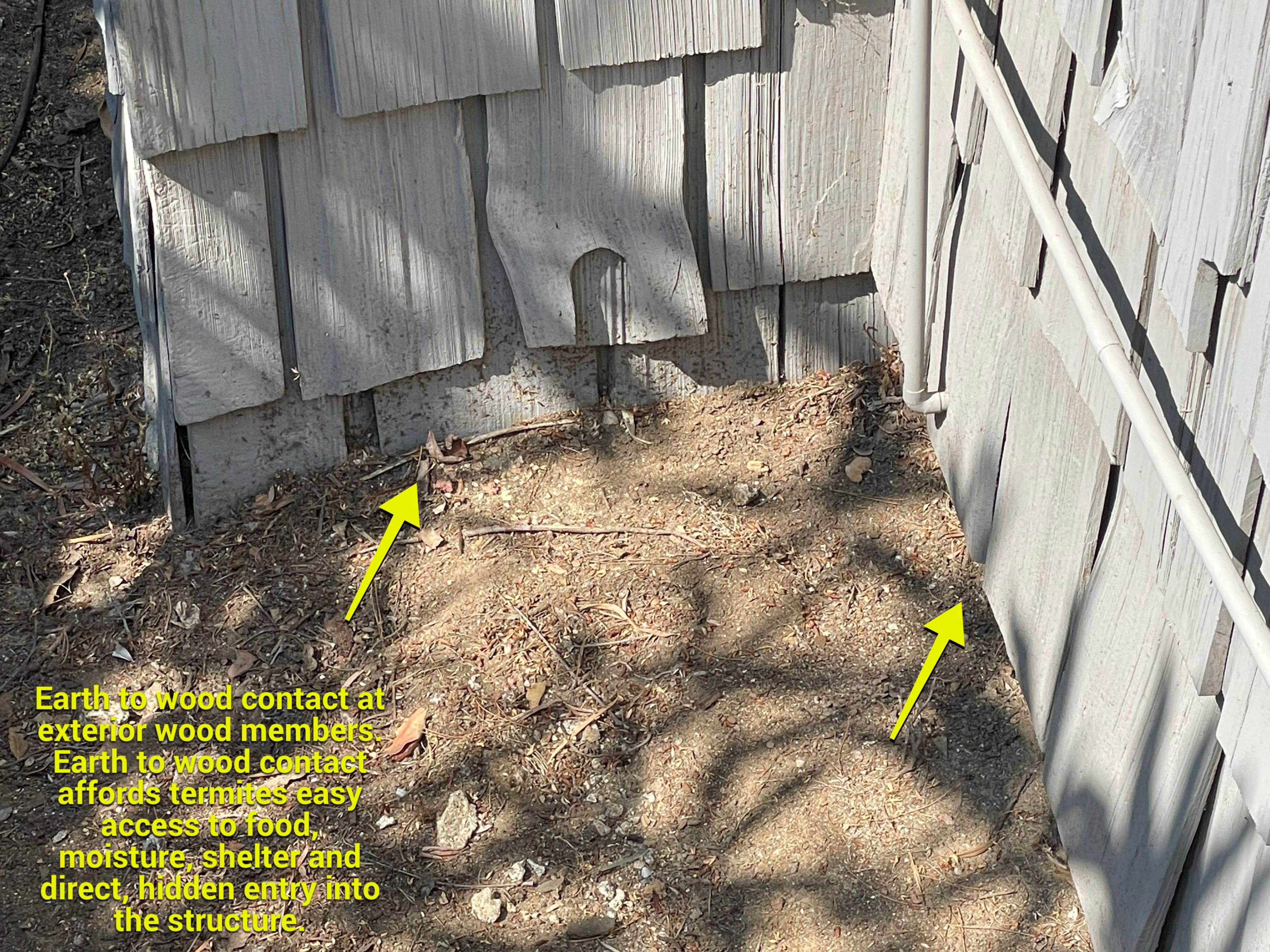 Wood Destroying Organisms Report by GLOBAL Termite Solutions