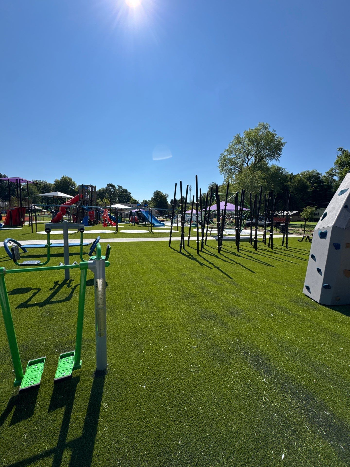 Lou Dennis Playground Grass by ForeverLawn NEIN/INDY