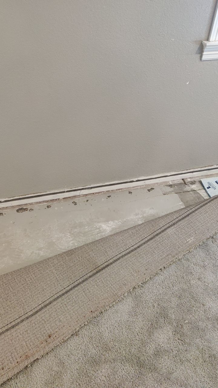 Mold Remediation  by Accountable Home Services