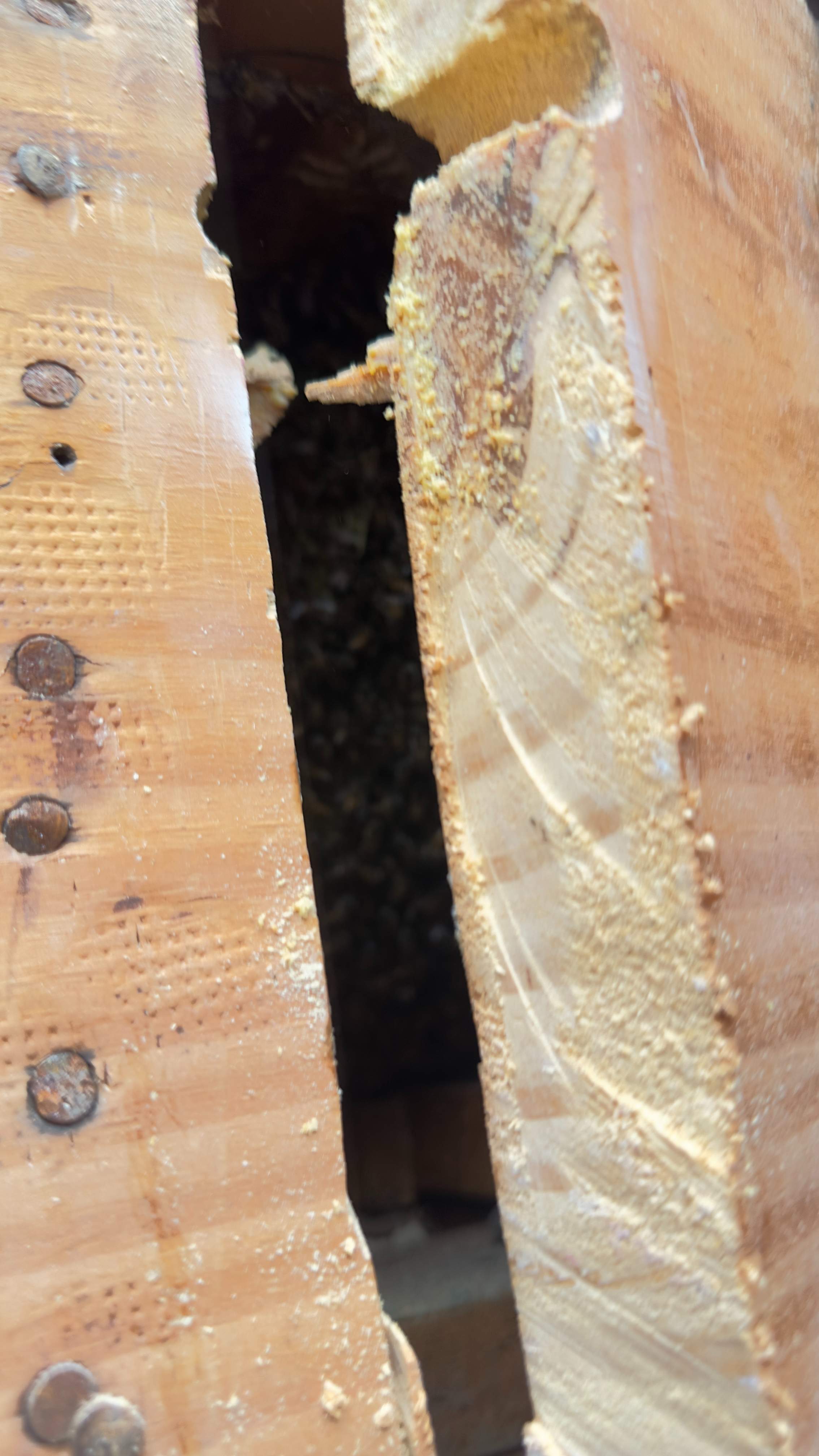 Apartment by Rockwall Honey Bee Company