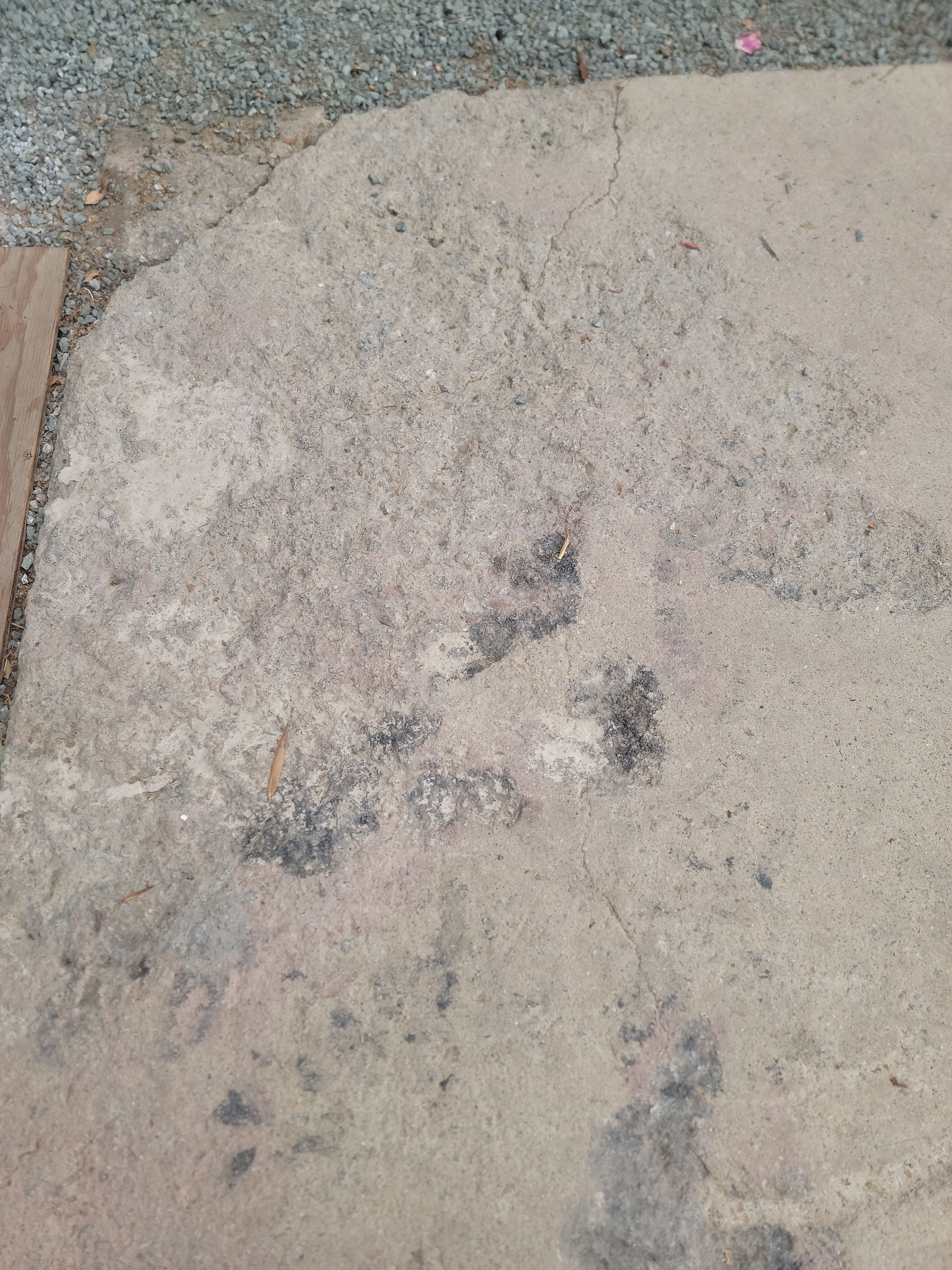 Stonewash Garage Floor Coating and Quartz Concrete Driveway in Morro Bay by MGP Coatings