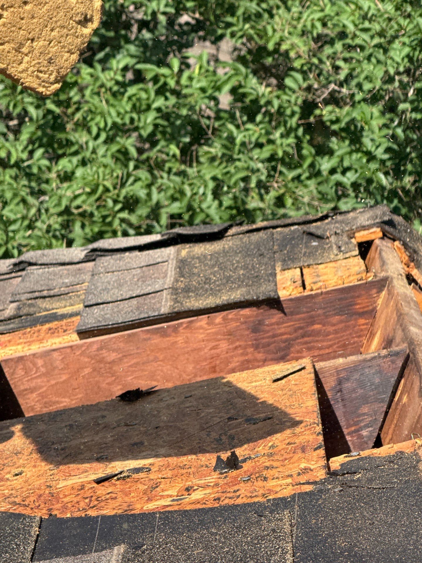 Roof Repair Spring by Roof Repair Company