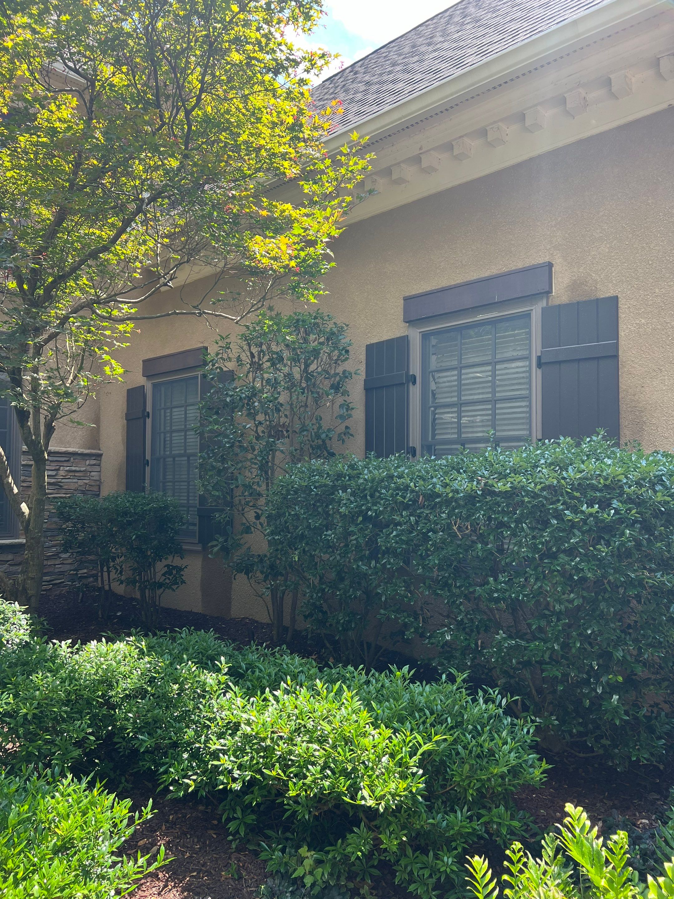 Project in Charlotte by Southern Traditions Window Fashions