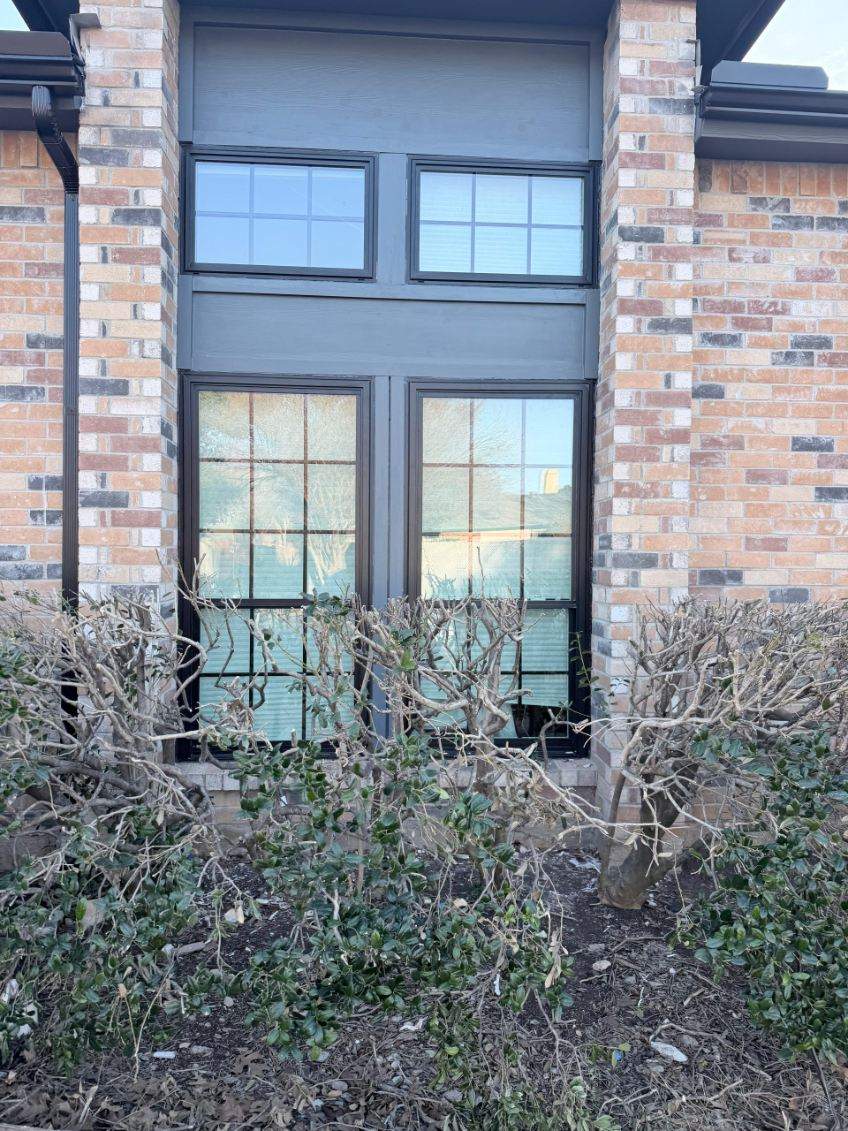 Windows and Exterior Paint by Rhino Roofing and General Contracting, LLC