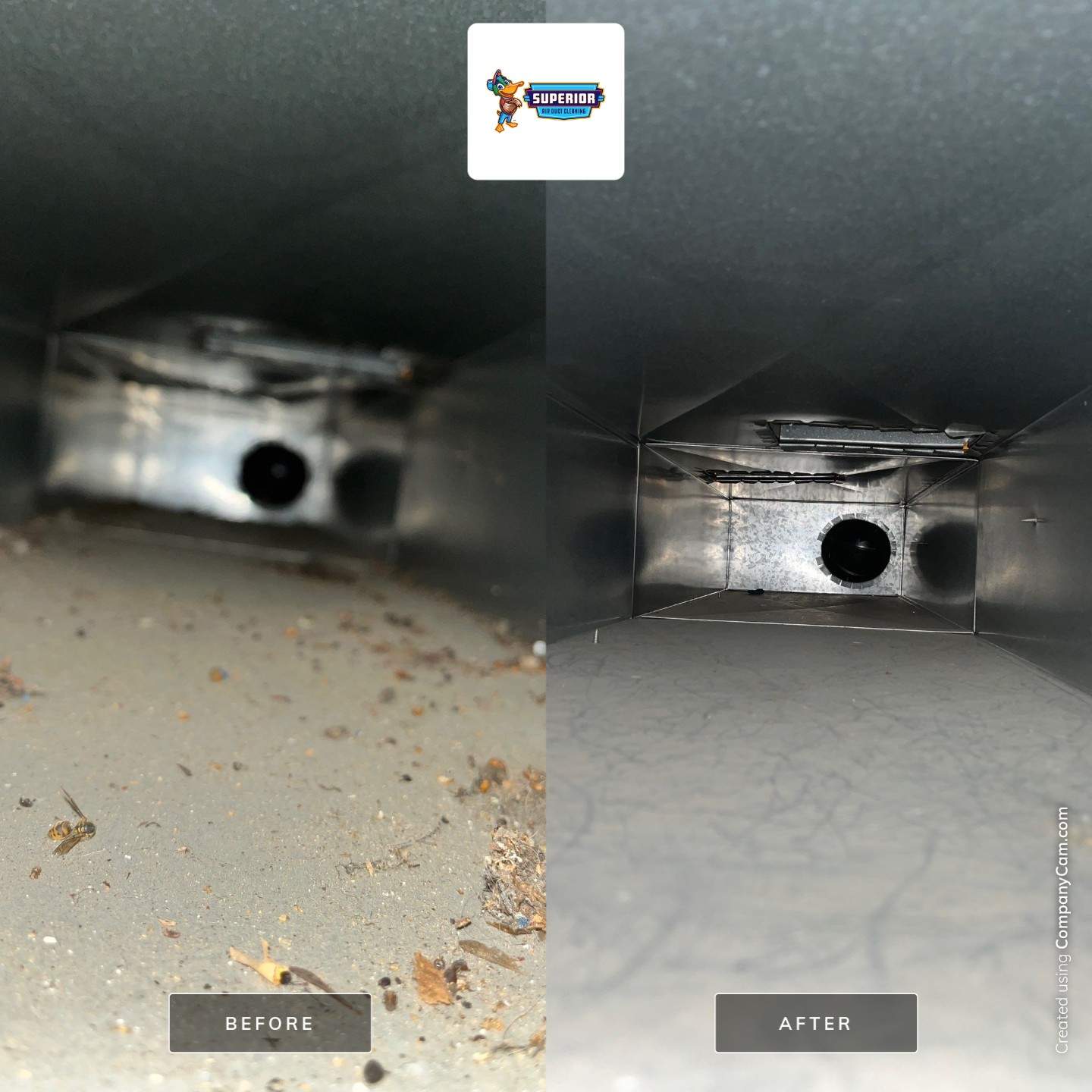 Air Duct Cleaning With a Vacuum Truck in East Palestine, OH by Superior Air Duct Cleaning