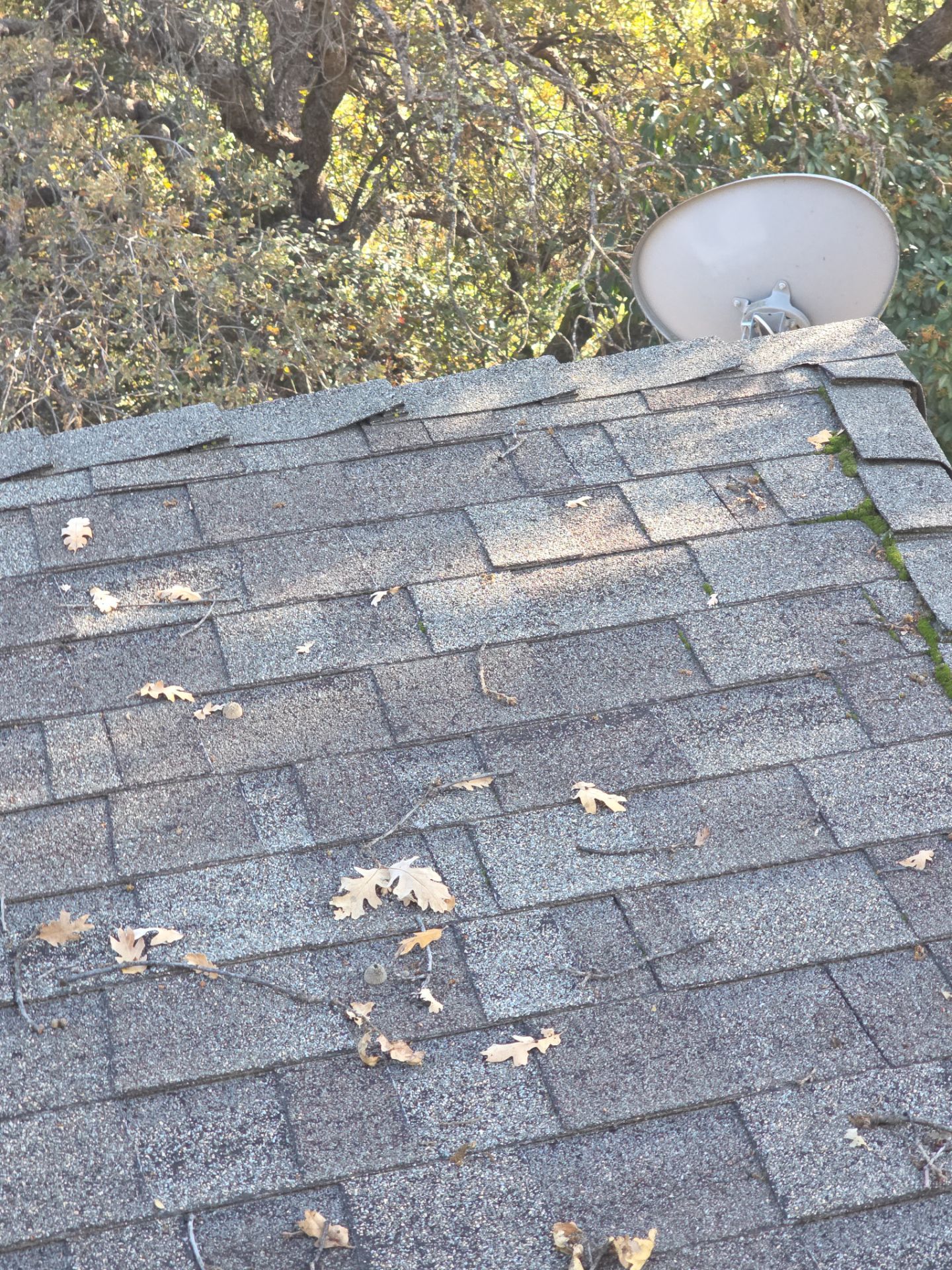 Roof Rejuvenation using Roof Maxx Treatment by Roof Maxx of Folsom