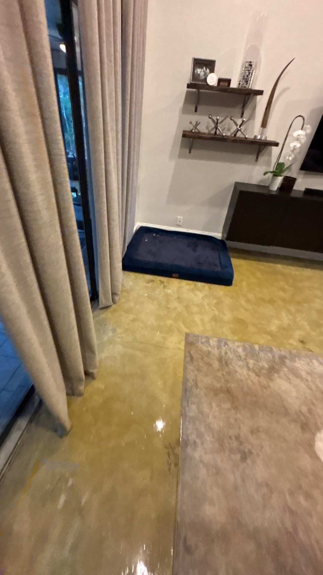 Wellington Water Damage Restoration with Thermal Imaging and Extraction by SuperClean 