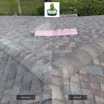 Residential Roof Cleaning in Lake Mary