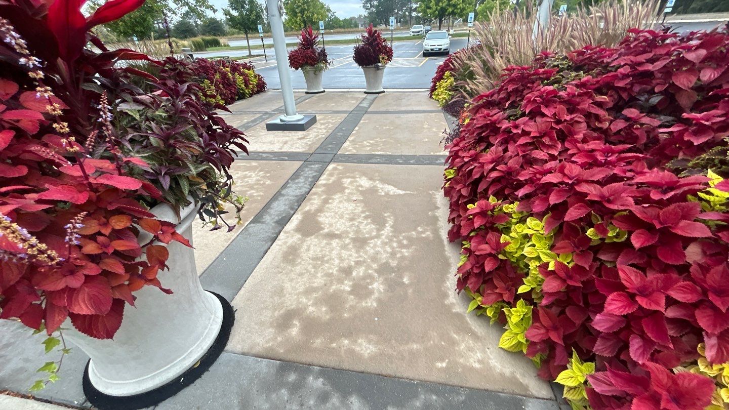 Commercial Concrete Surface Cleaning by Northern Power Washing LLC.