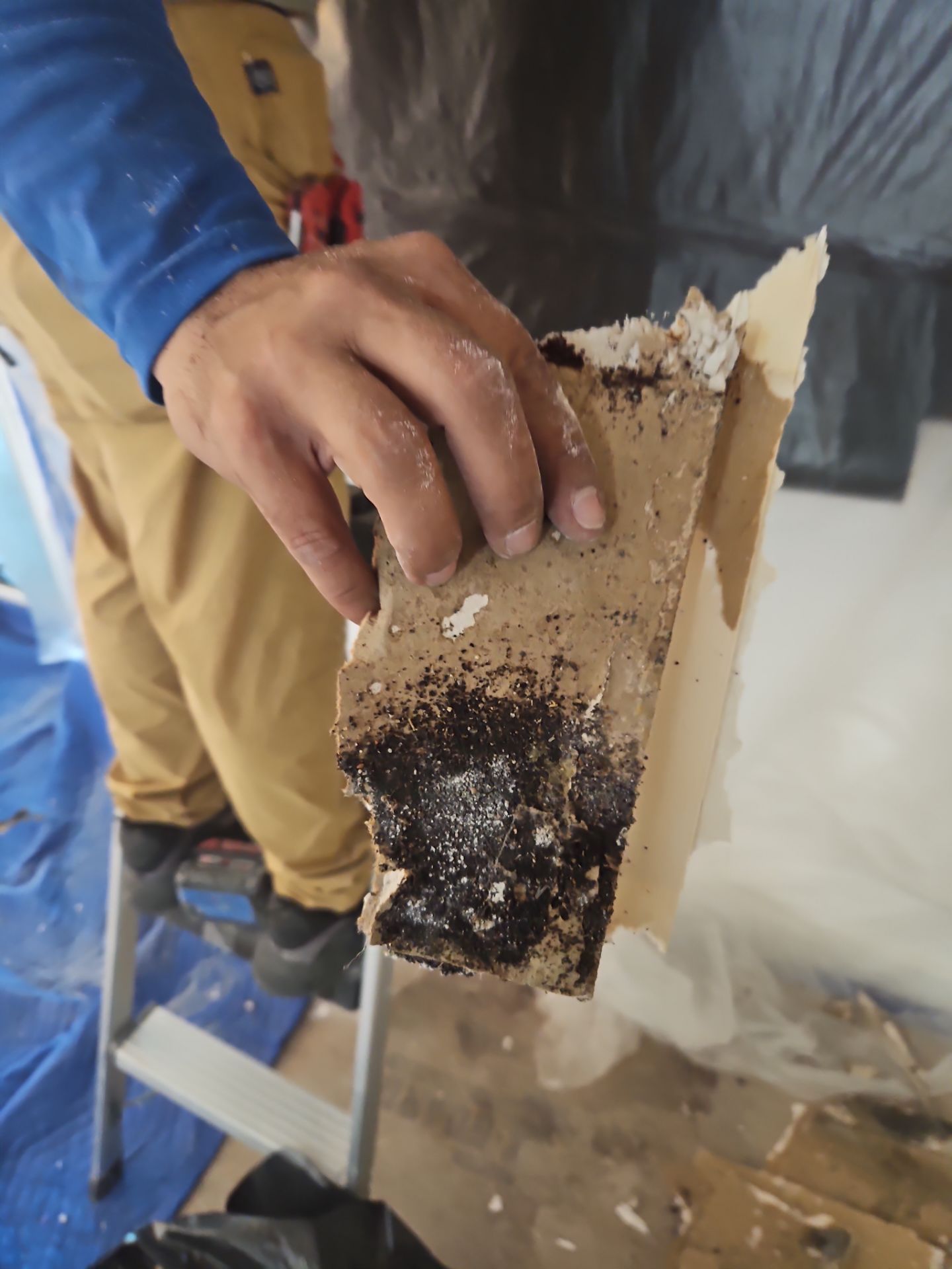 Commercial Water Damage Restoration In Bradenton by Ampm Restoration Services