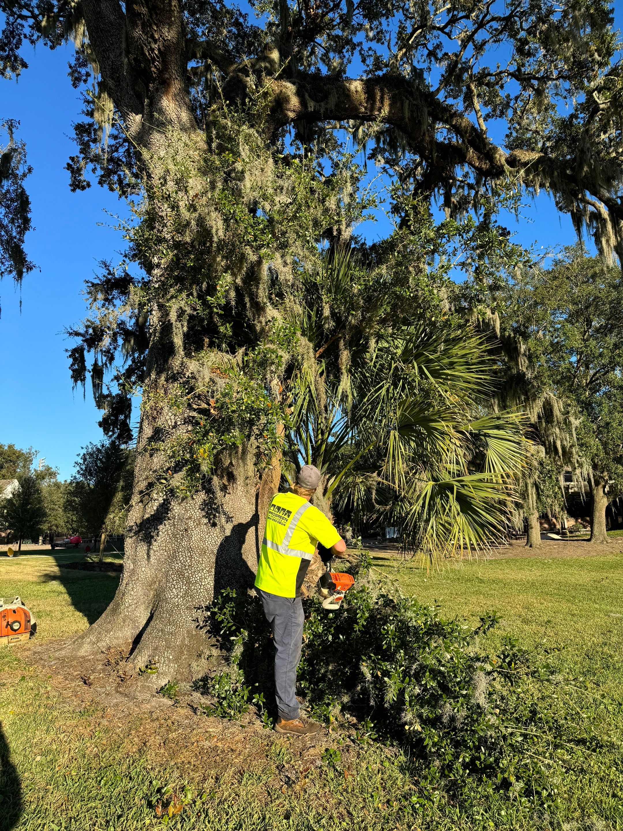 Volunteer Work | Episcopal High School of Jacksonville by ProGreen Services