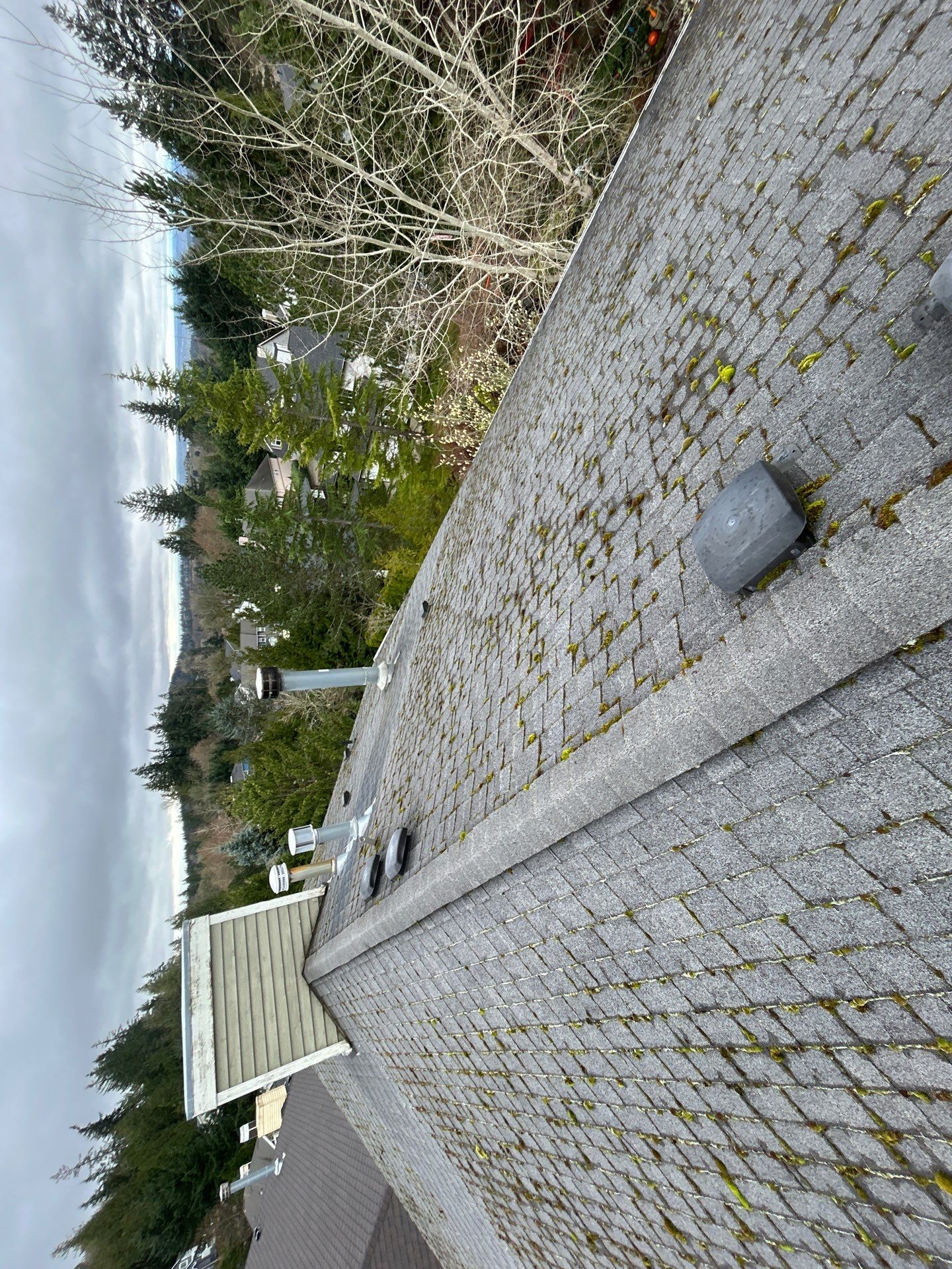Project in Bellevue by Peaks and Valleys Construction
