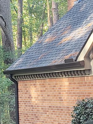 Project in Alpharetta