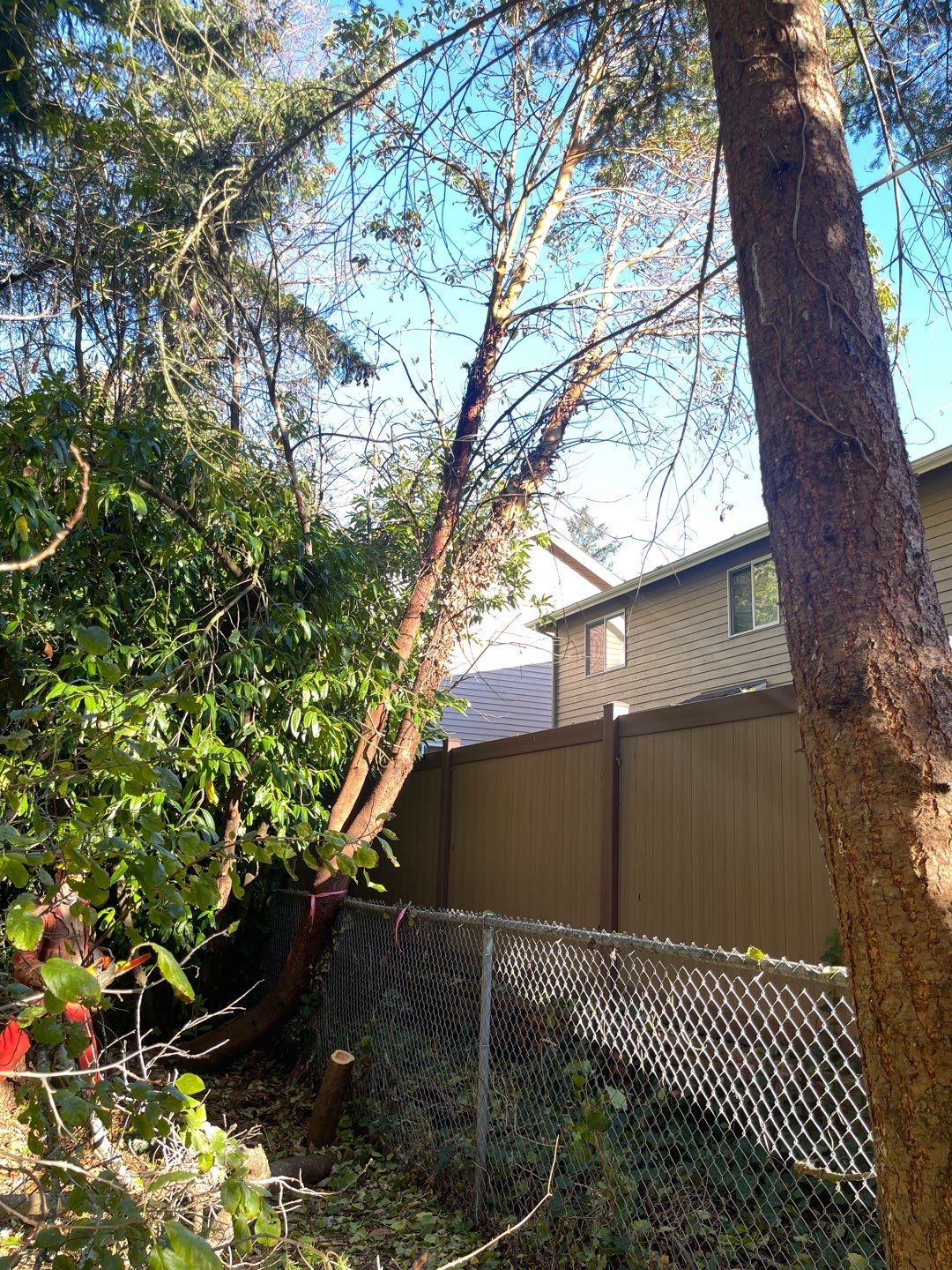 Tree Removal using Tree Removal by Mike Jones & Sons Tree Service LLC 