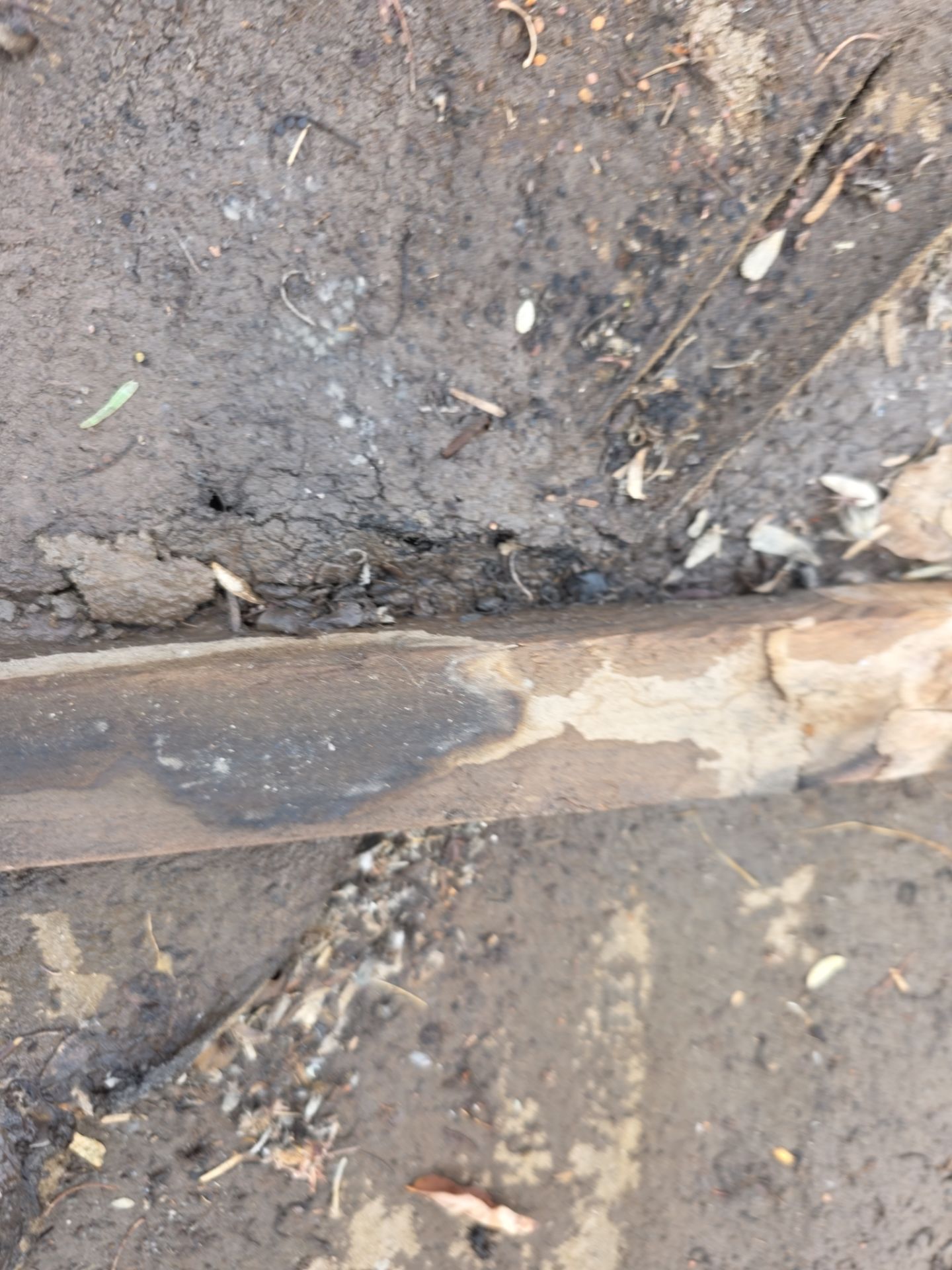 Protect Your Investment: Arizona Roofing Company's Expertise at Work! by Weather-Tite Roofing