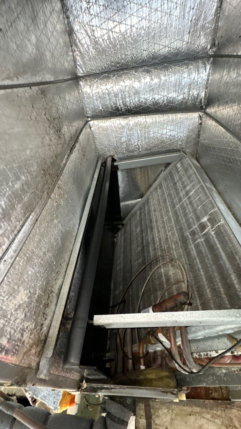 Air Duct Cleaning in Orlando by Hygienic Air, Inc