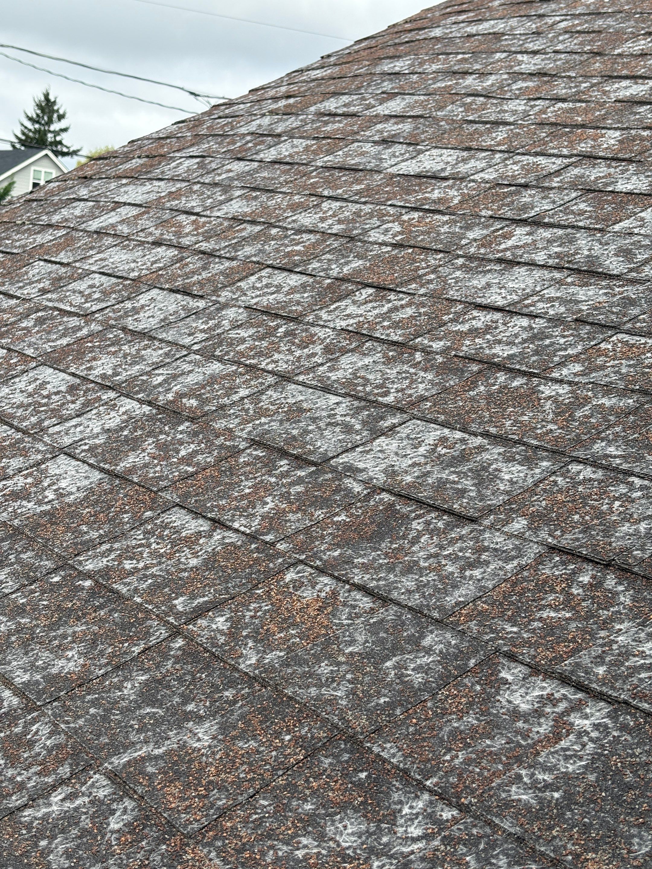 Reroof, Gutters, and Repair by Hawthorne General Construction