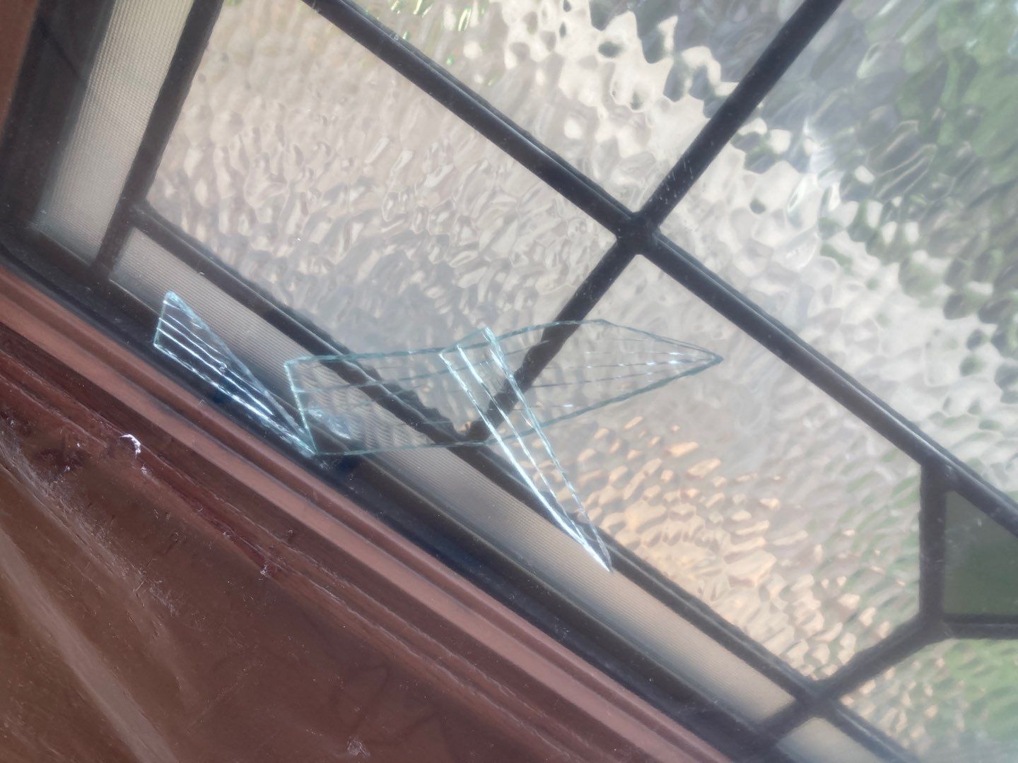 Kevin & Carol Rico Door & Window Project  by Mt. Pleasant Window & Remodeling Co.