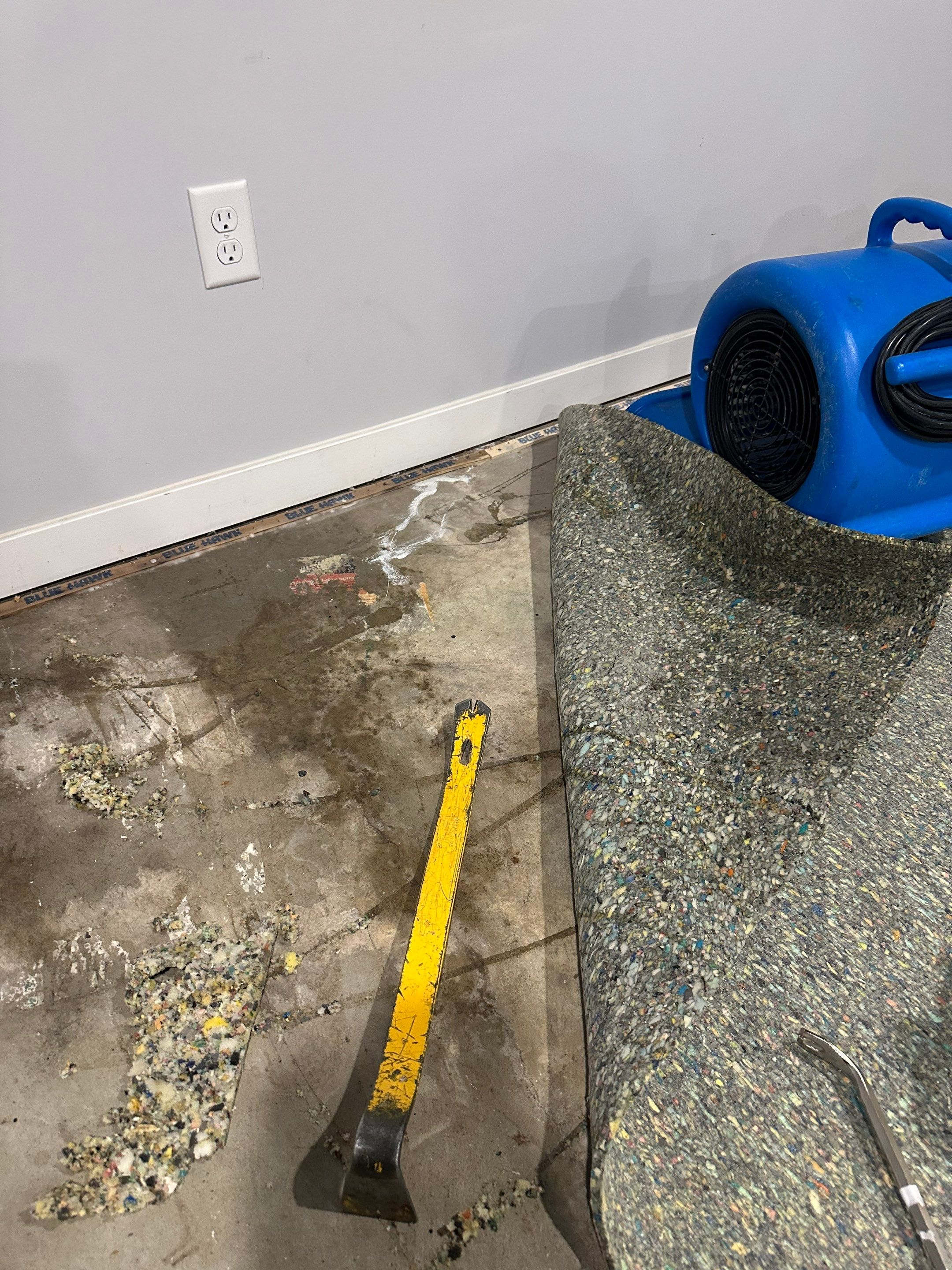 Basemen Oder removal with mold remediation and carpet pad replacement by BlueRed Restoration