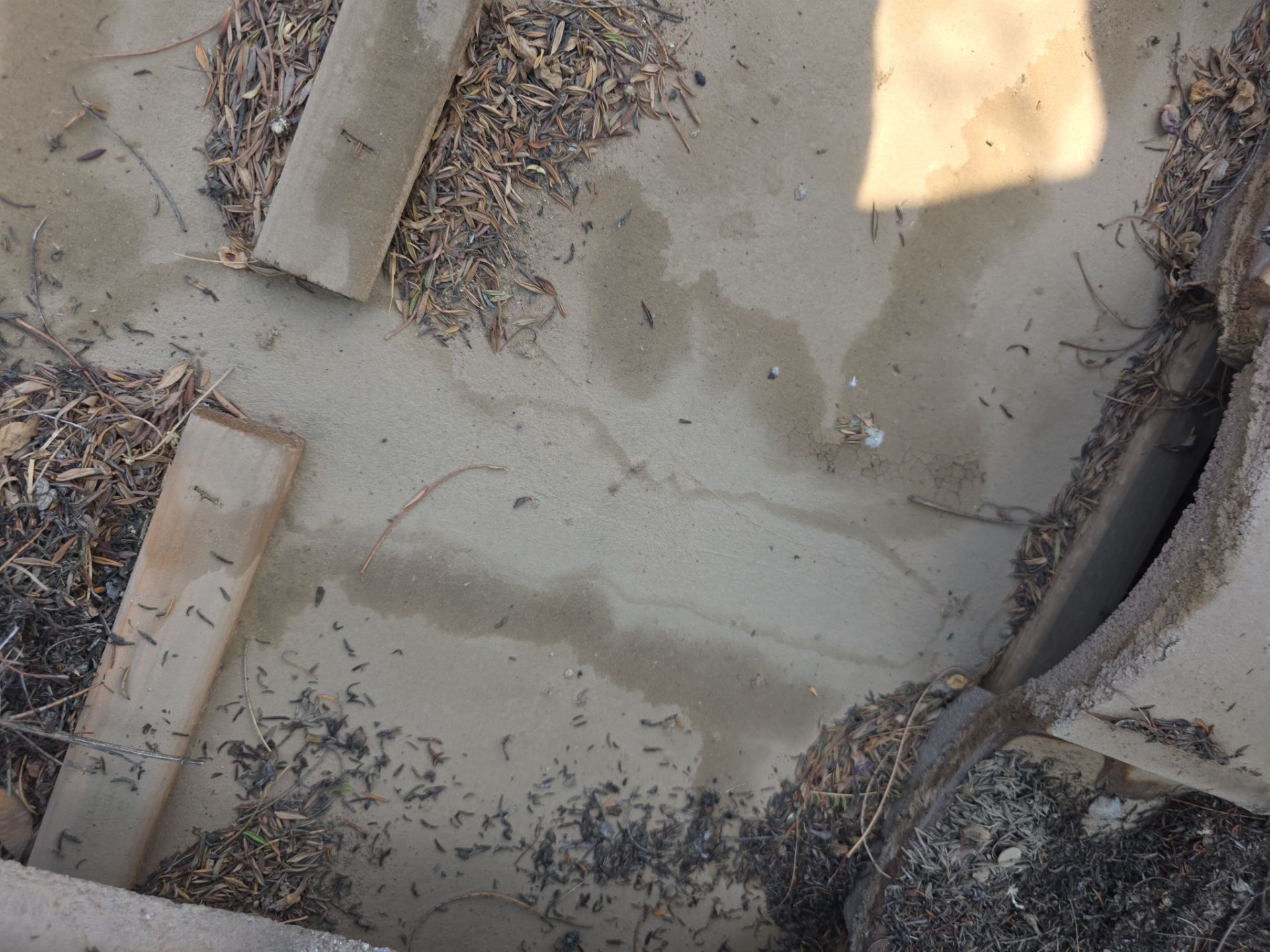 Recent Rain and Storm Damage in Gilbert by Weather-Tite Roofing