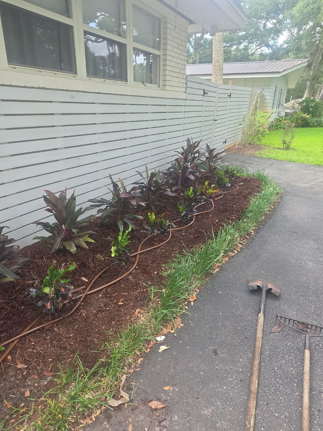 Residential | Irrigation Dripline Install  by ProGreen Services