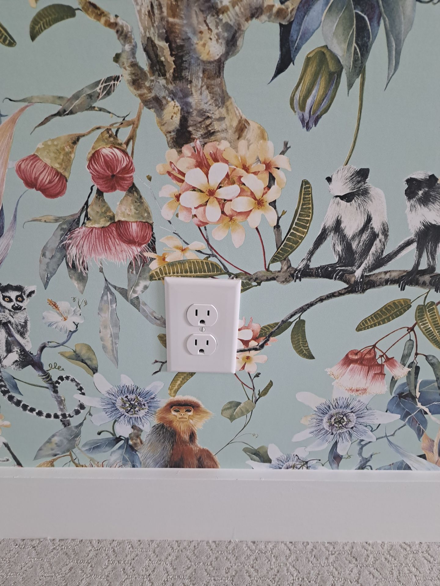 Wallpaper Installation in DFW by Nomad Painting