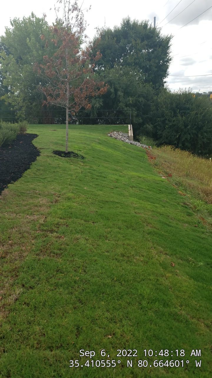 Harris Teeter Fuel Station Project Concord NC - (Commercial) by Carolina-Metro Landscape, Inc