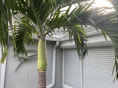 Custom Aluminum Gutters in Punta Gorda FL