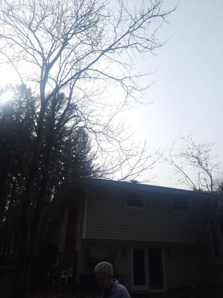 Tree Removal using Tree Removal by Mike Jones & Sons Tree Service LLC 