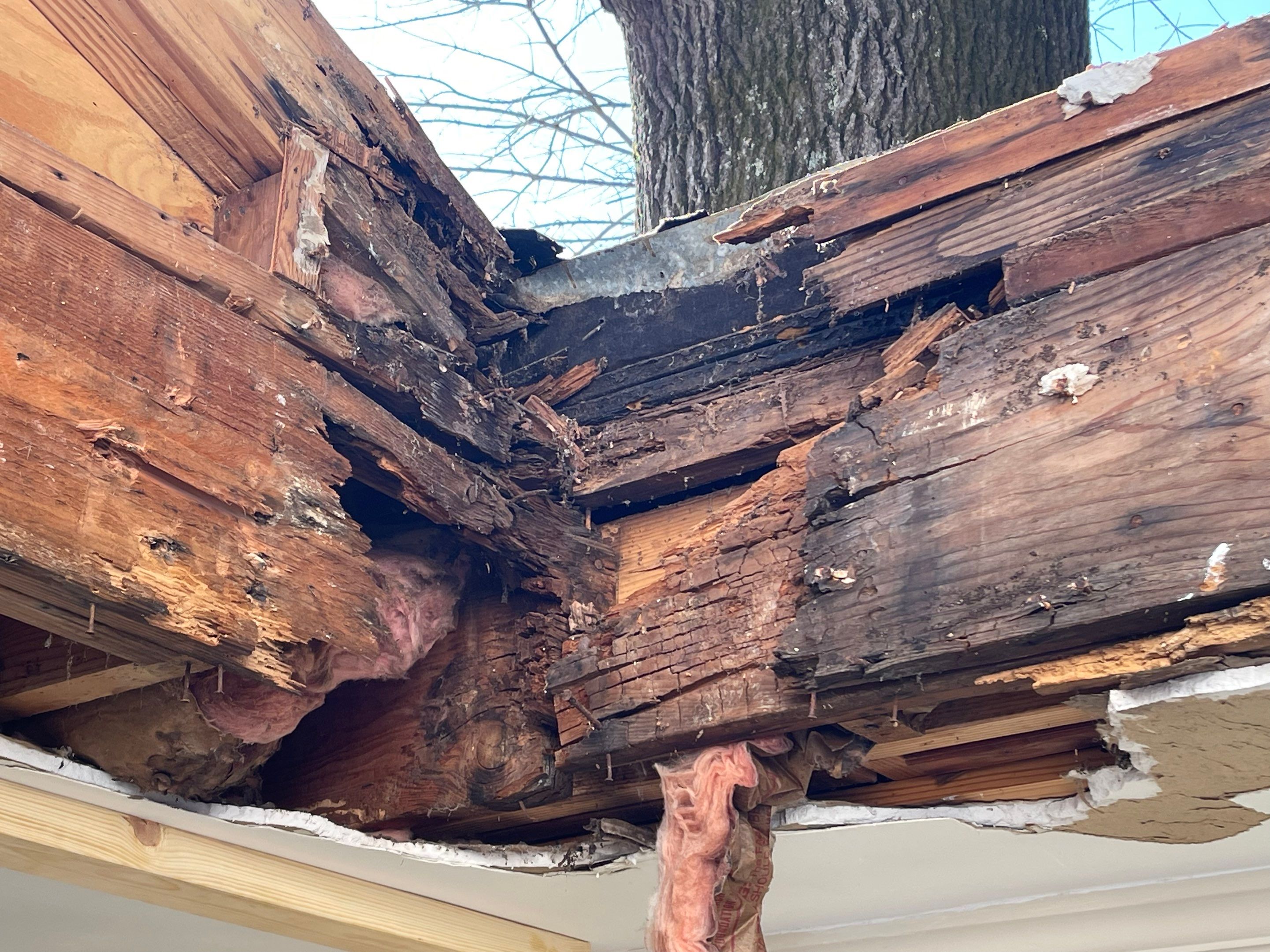 Structural Wood Rot Repair and Custom Skylight Installation in Memphis by Revival Roofing Services
