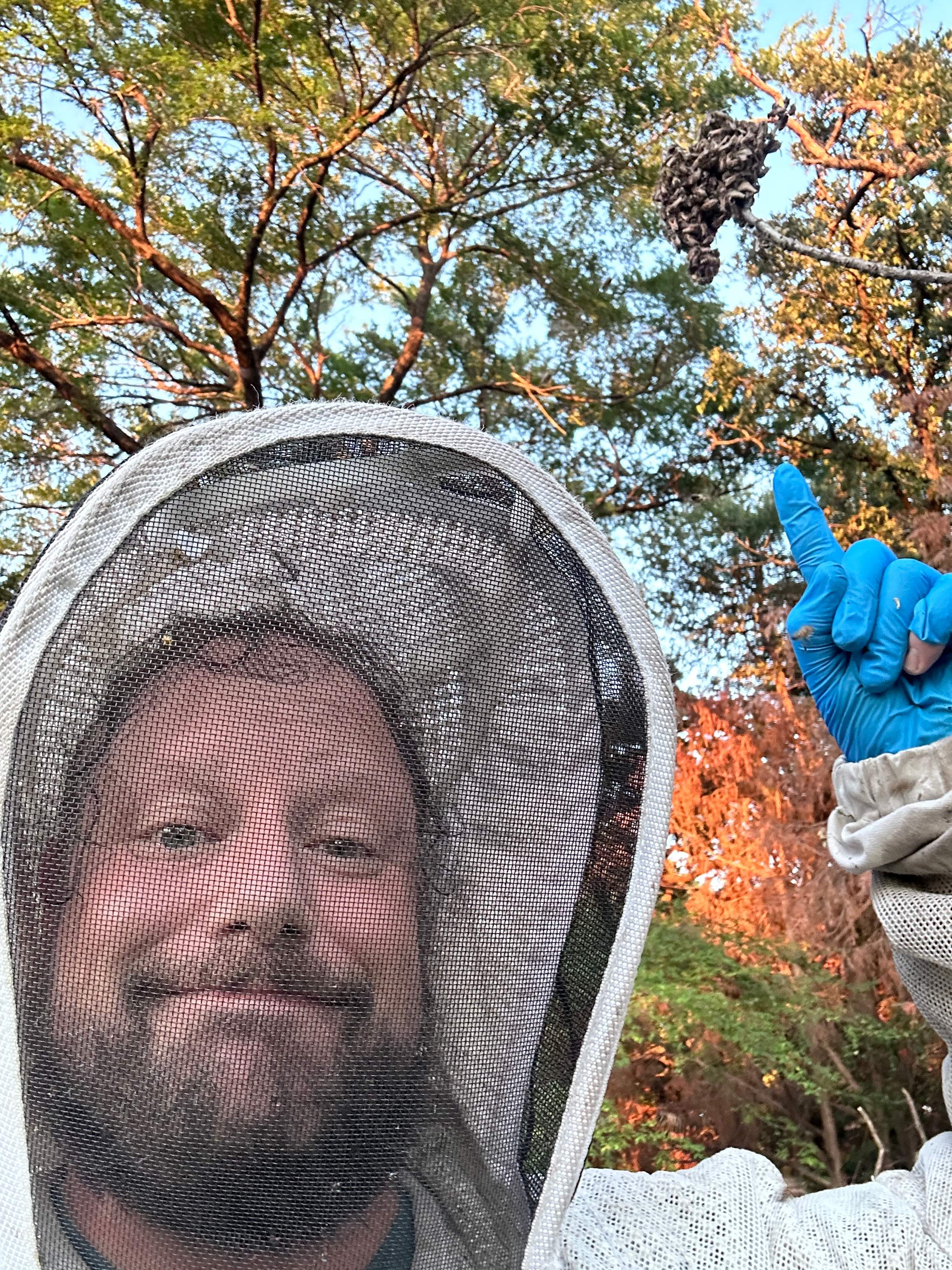 Wina-tree-go by Rockwall Honey Bee Company