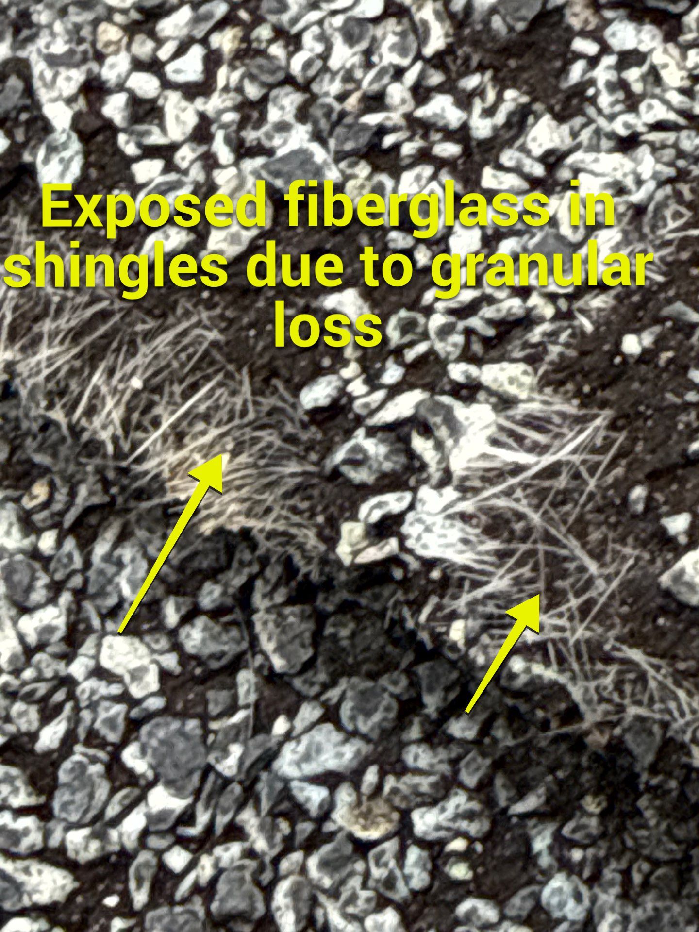 Project in Chester by Roof Maxx of Midlothian