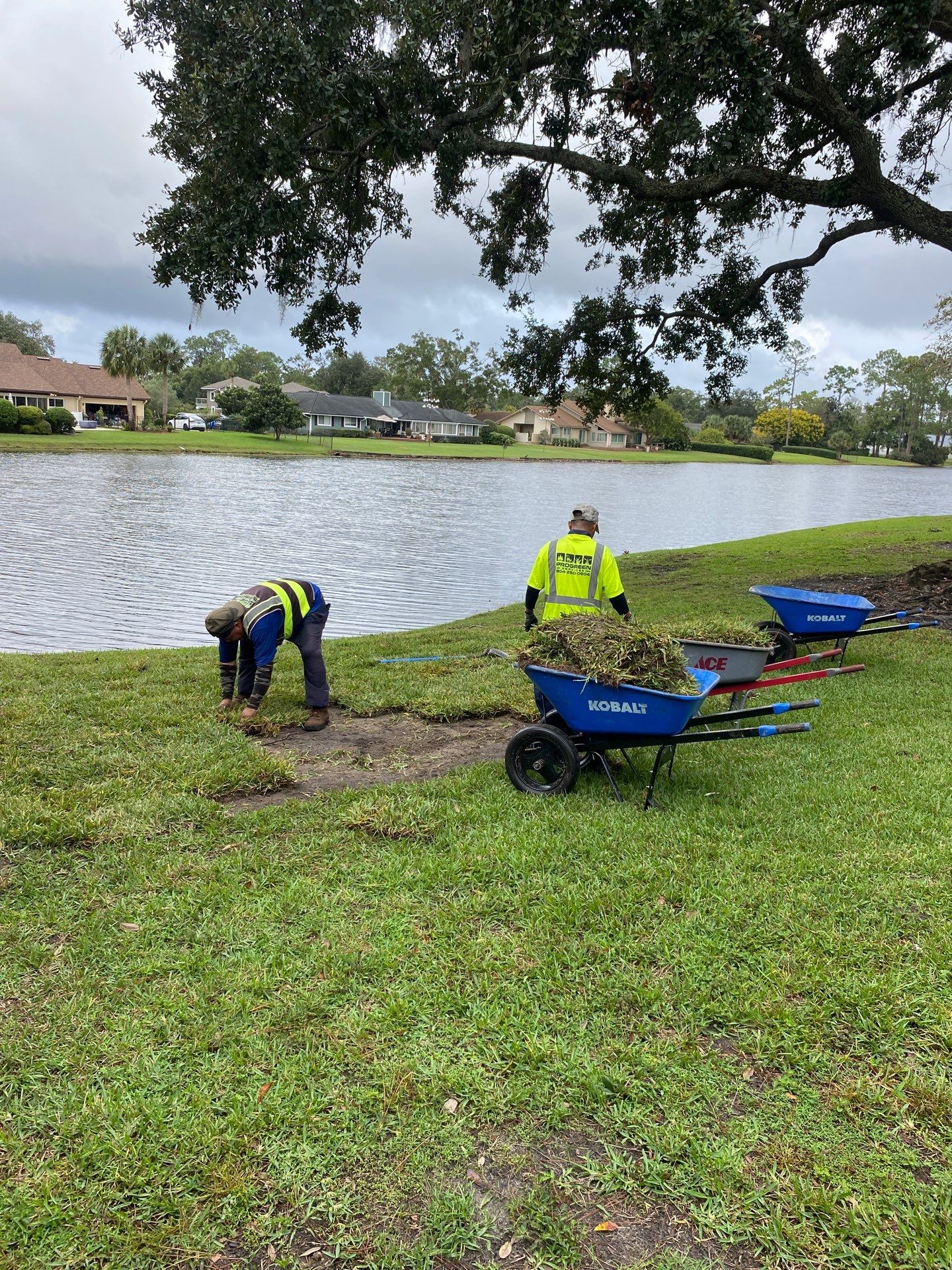 Deerwood Resident | Sod Replacement by ProGreen Services