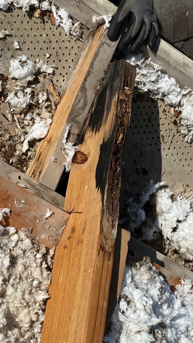 Residential Roof Repair and Damage Mitigation in Hutto by Caliber Restoration LLC