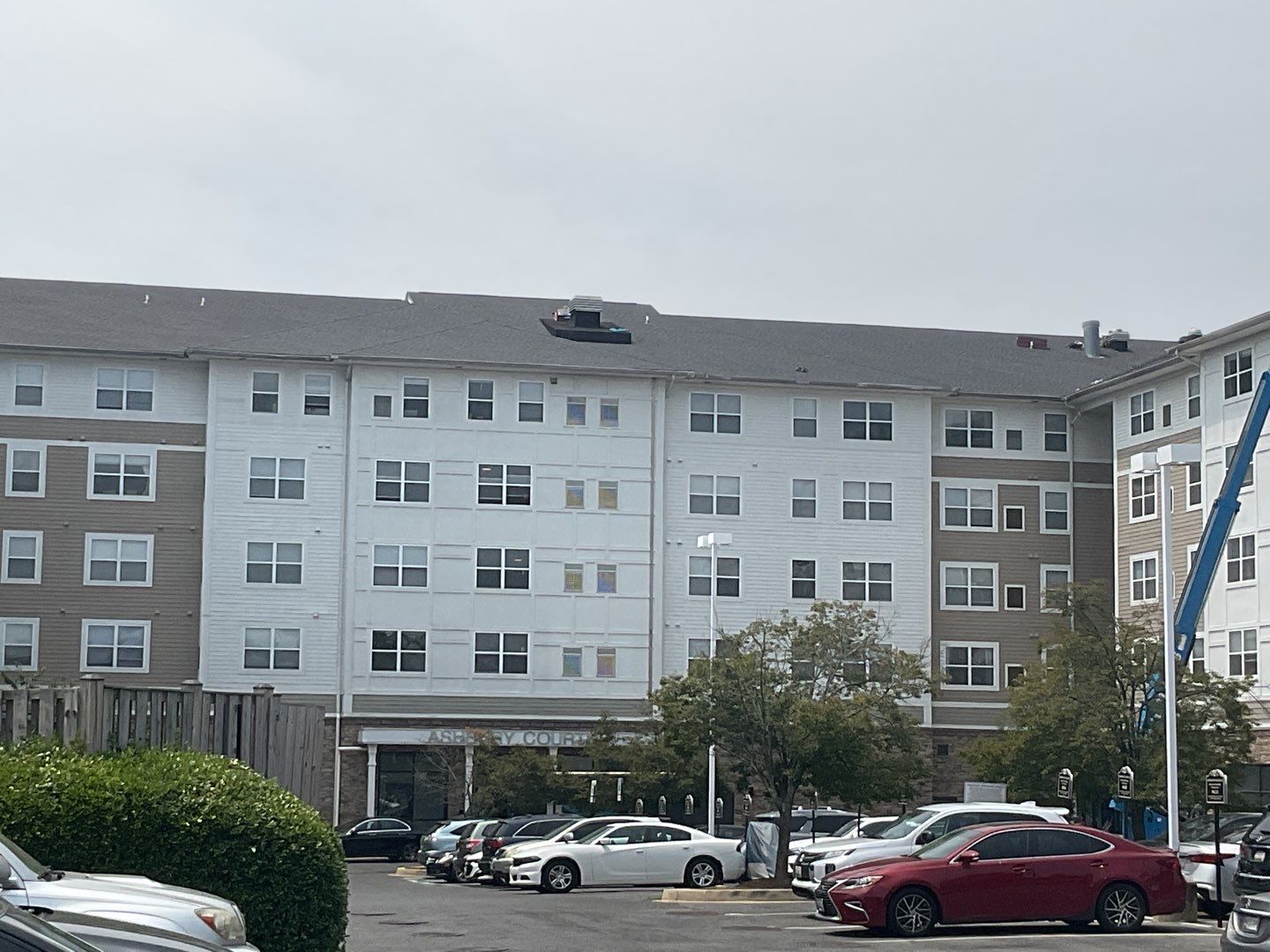 Multi-Family Commercial shingle roof by Alpha Design Services