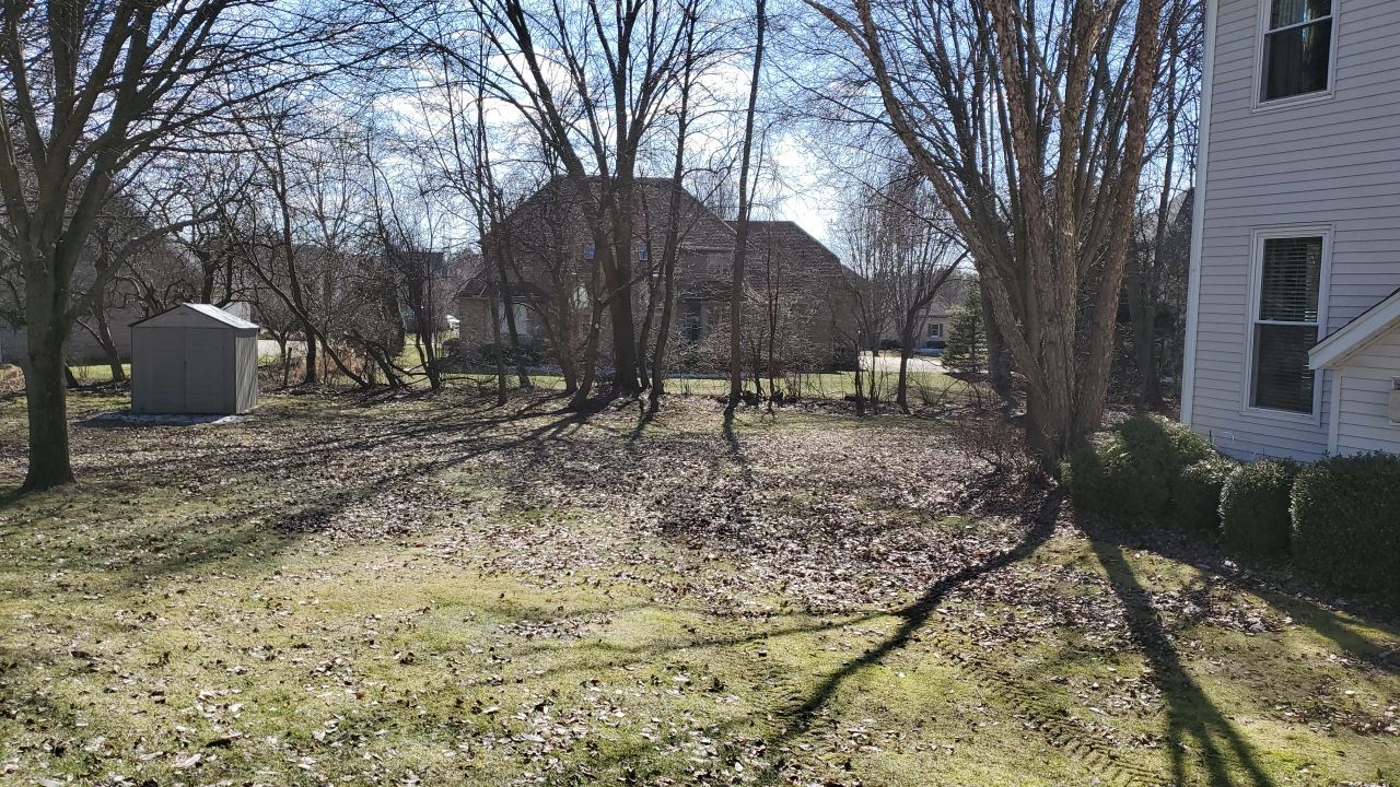 Tree Removal using Tree Removal by Mike Jones & Sons Tree Service LLC 