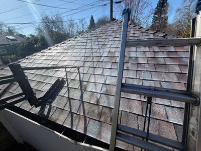 Roof Rejuvenation using Roof Maxx Treatment