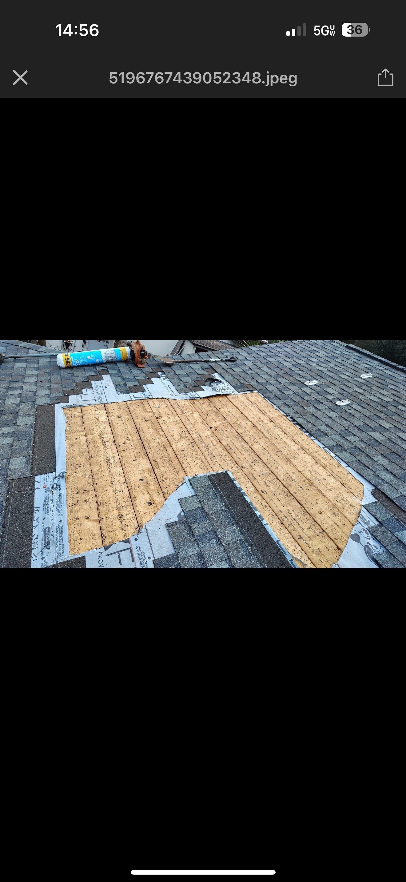 Silver Birch Shingles by Reimagine Roofing